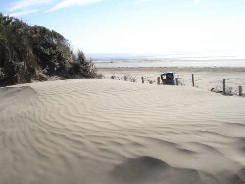 Sand Fence 3